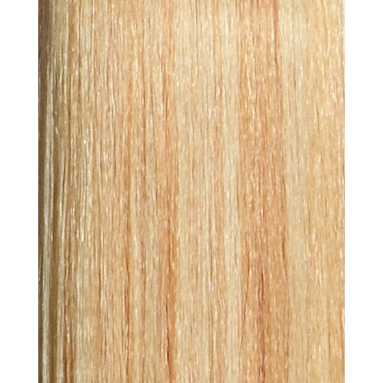 Ginger Blonde Pure Blonde Mix (27-613)